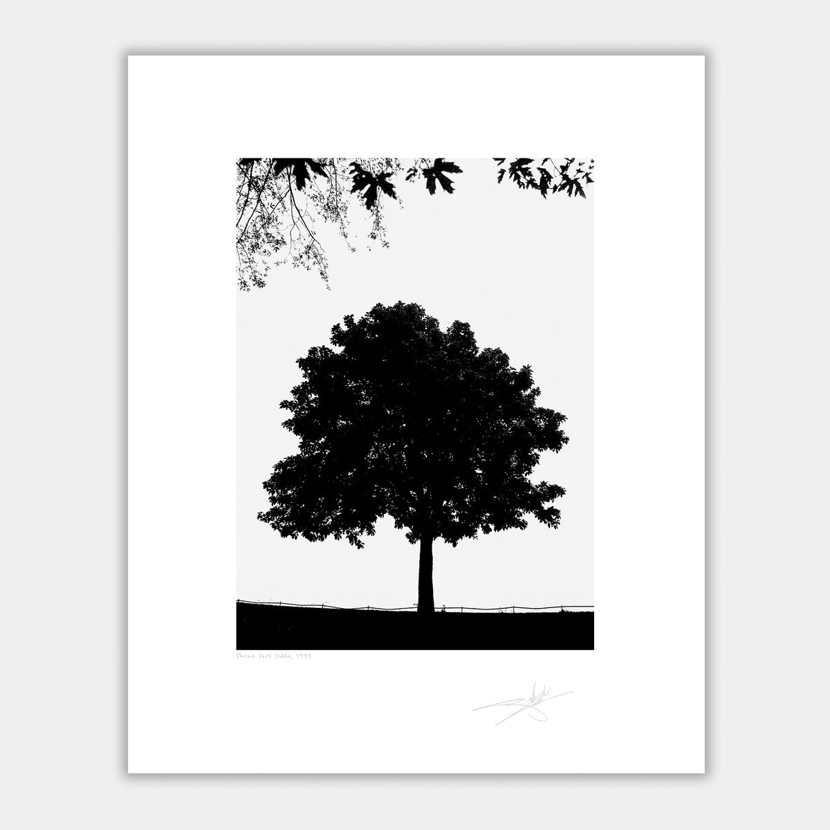 Phoenix Park 1999