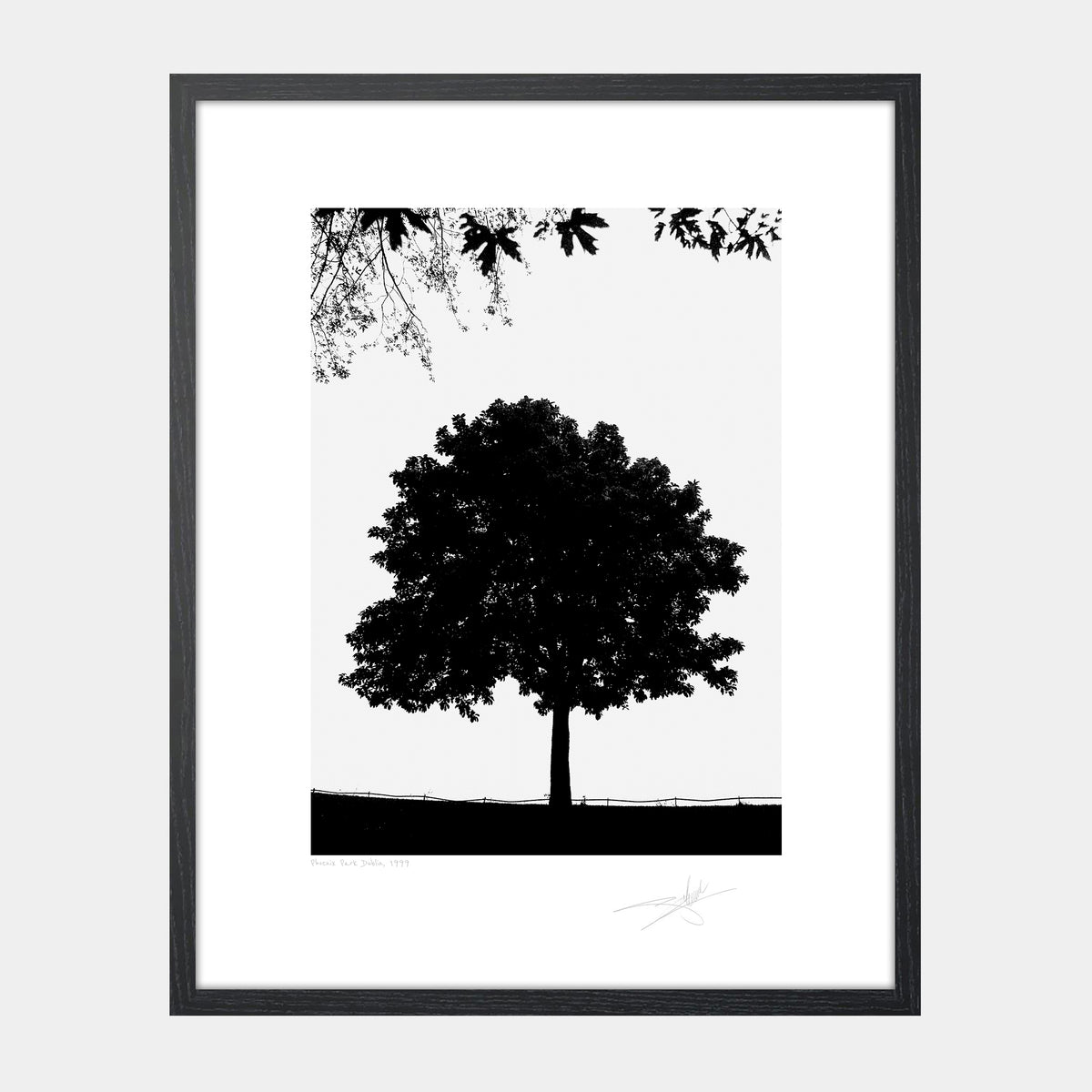 Phoenix Park 1999
