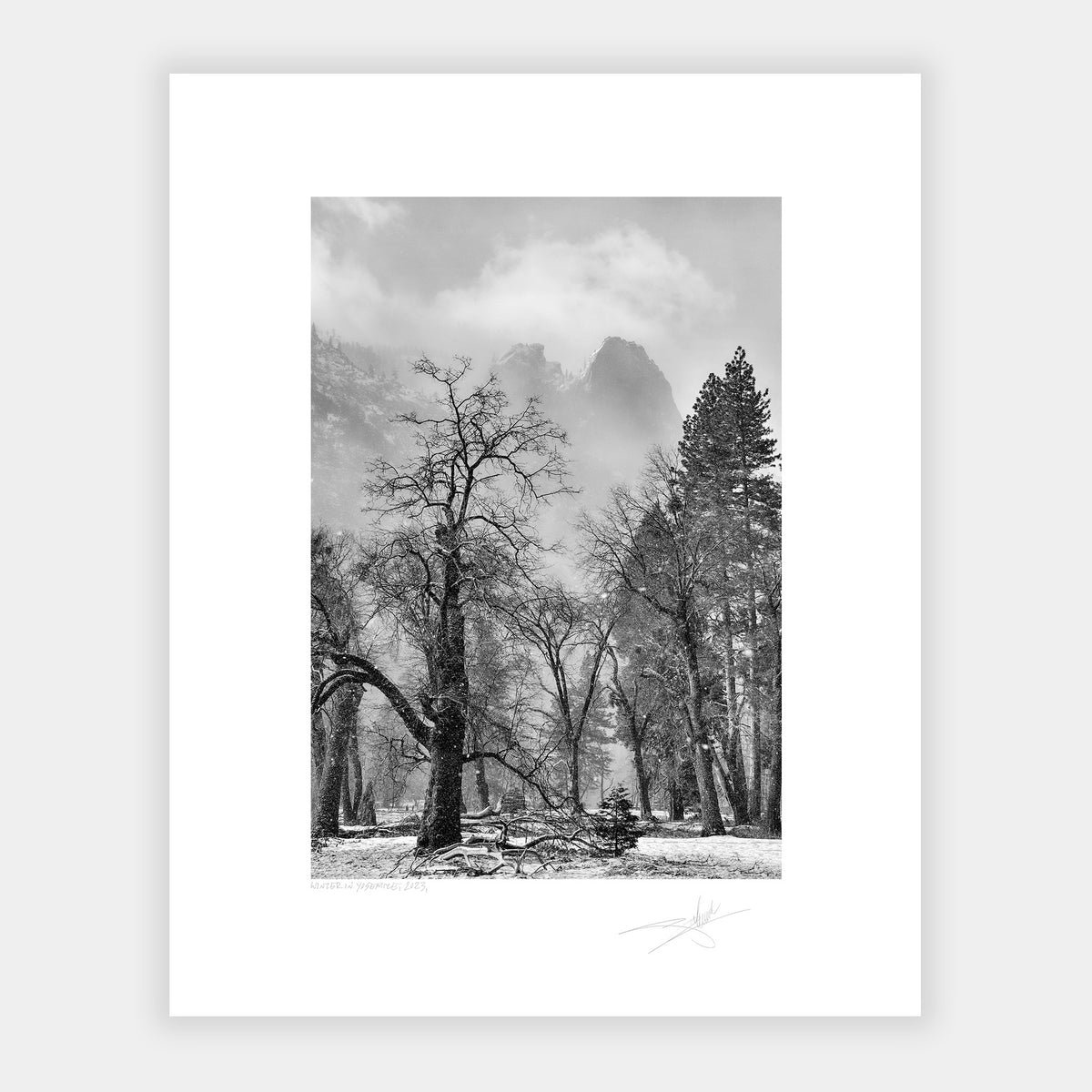 Winter in Yosemite