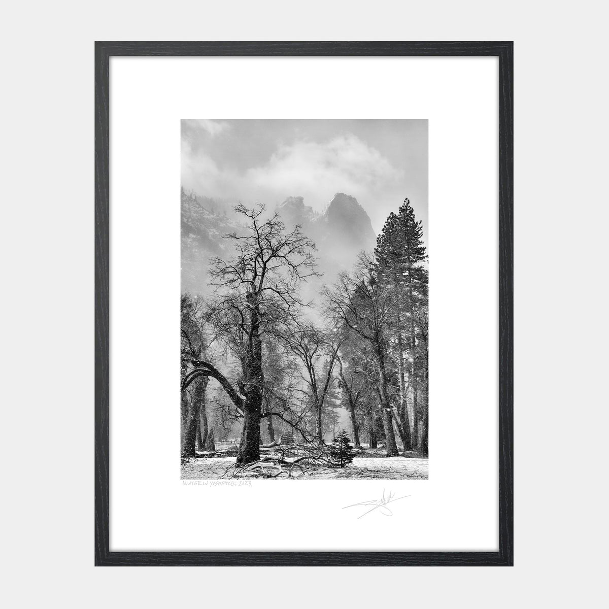 Winter in Yosemite