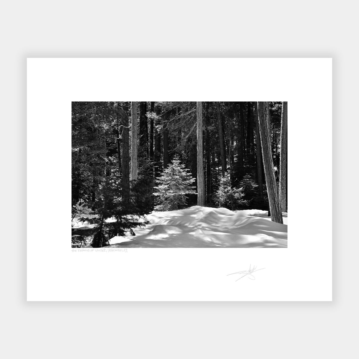 The Remains of Winter