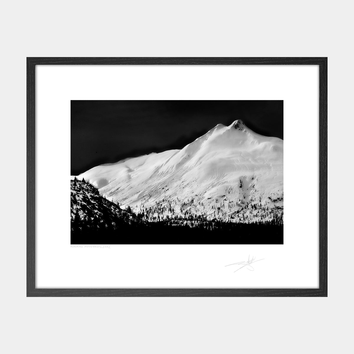 Alaskan Mountains