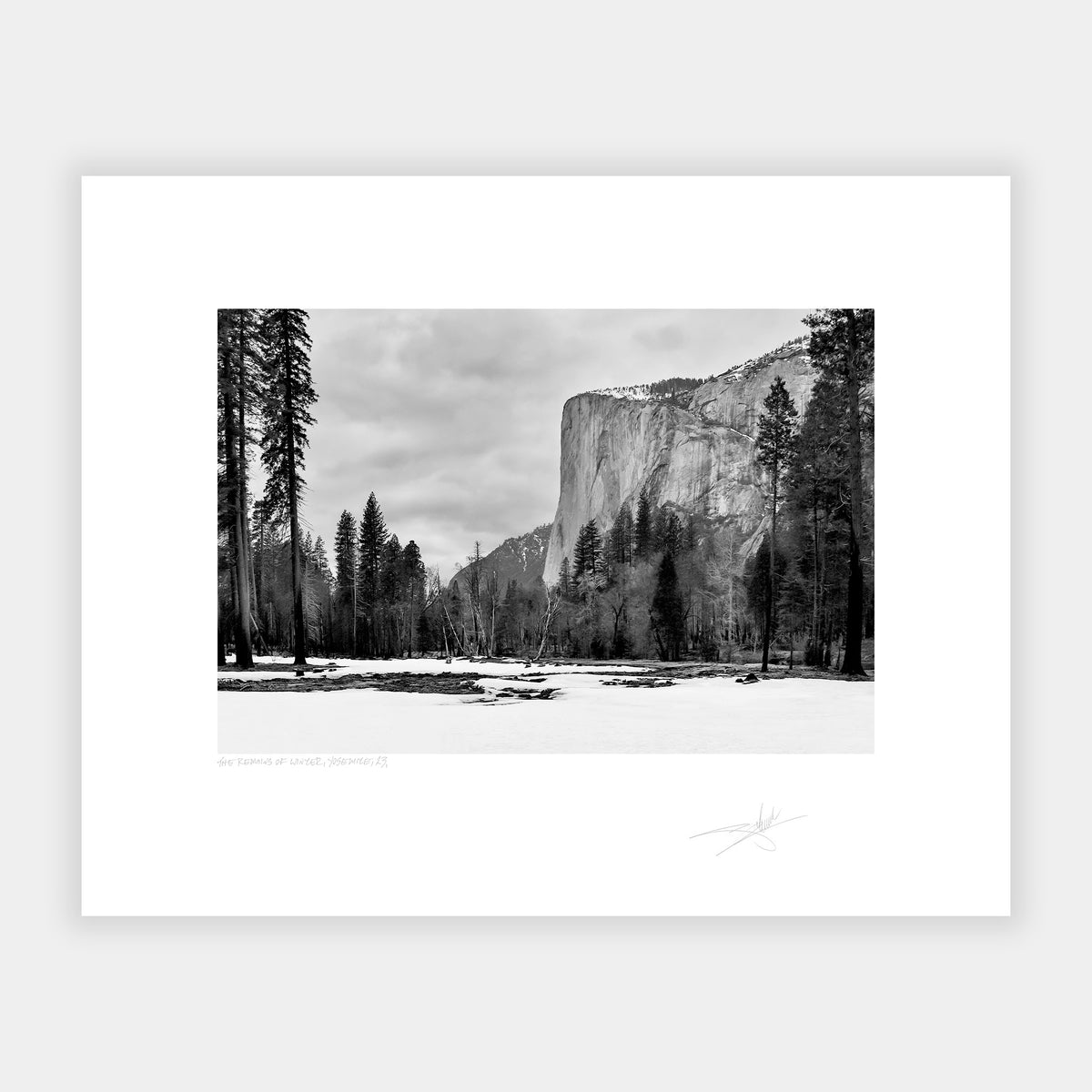 The Remains of Winter