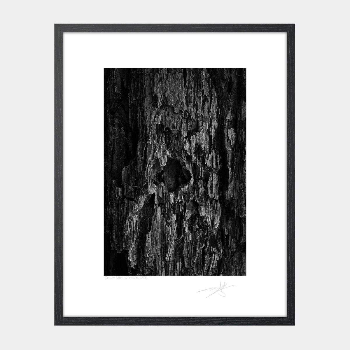Burnt Bark