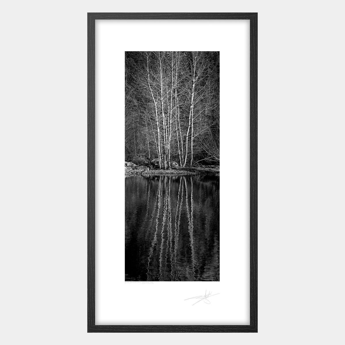 River Reflections