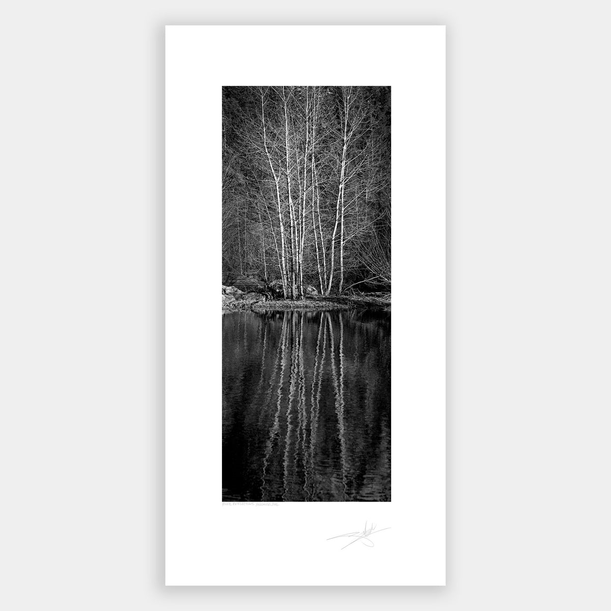 River Reflections