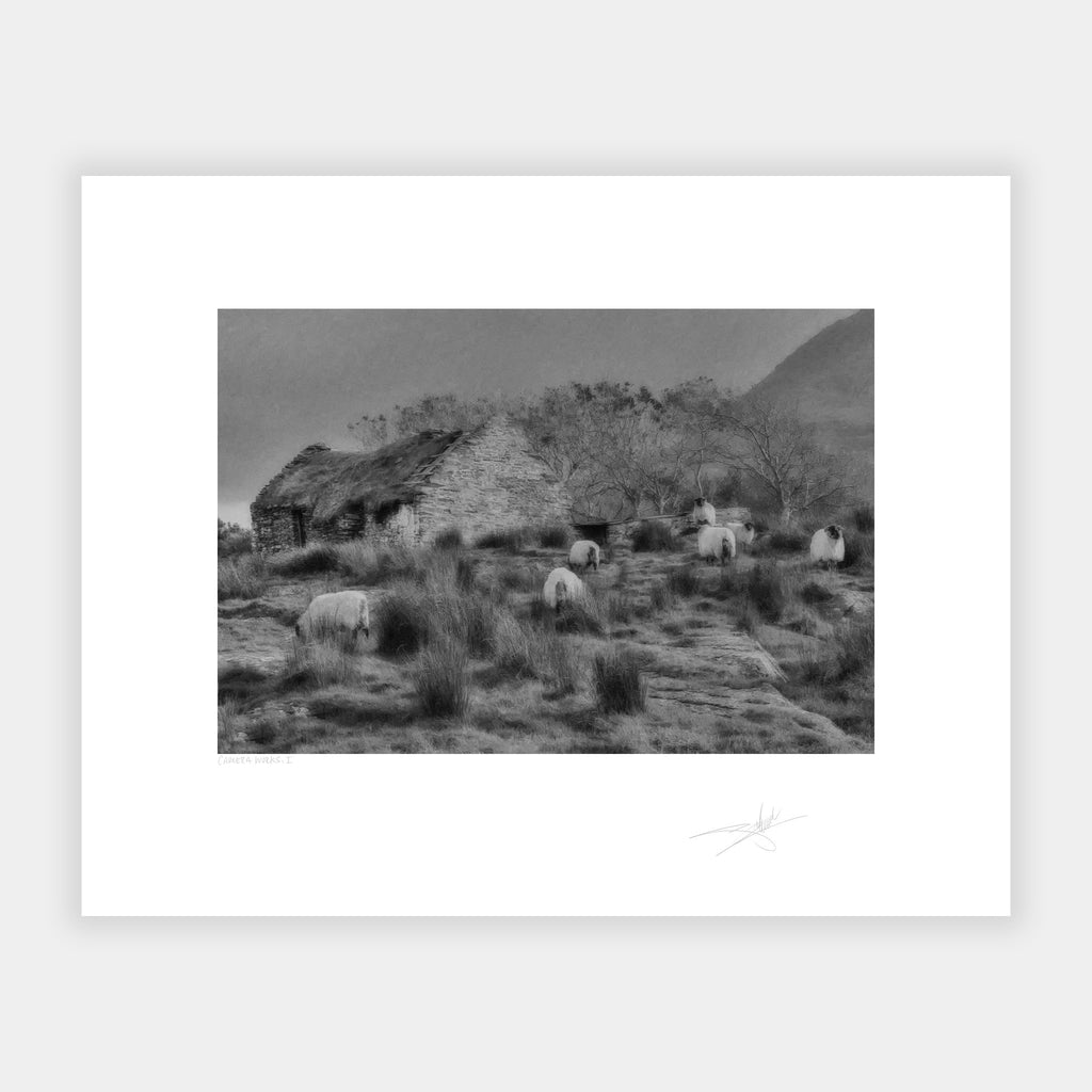Cottage & Sheep