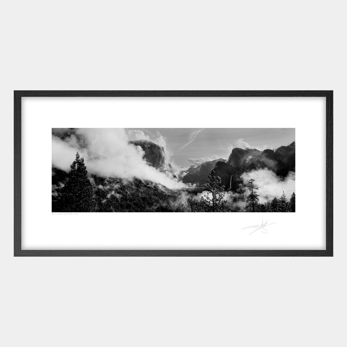 Valley Mist