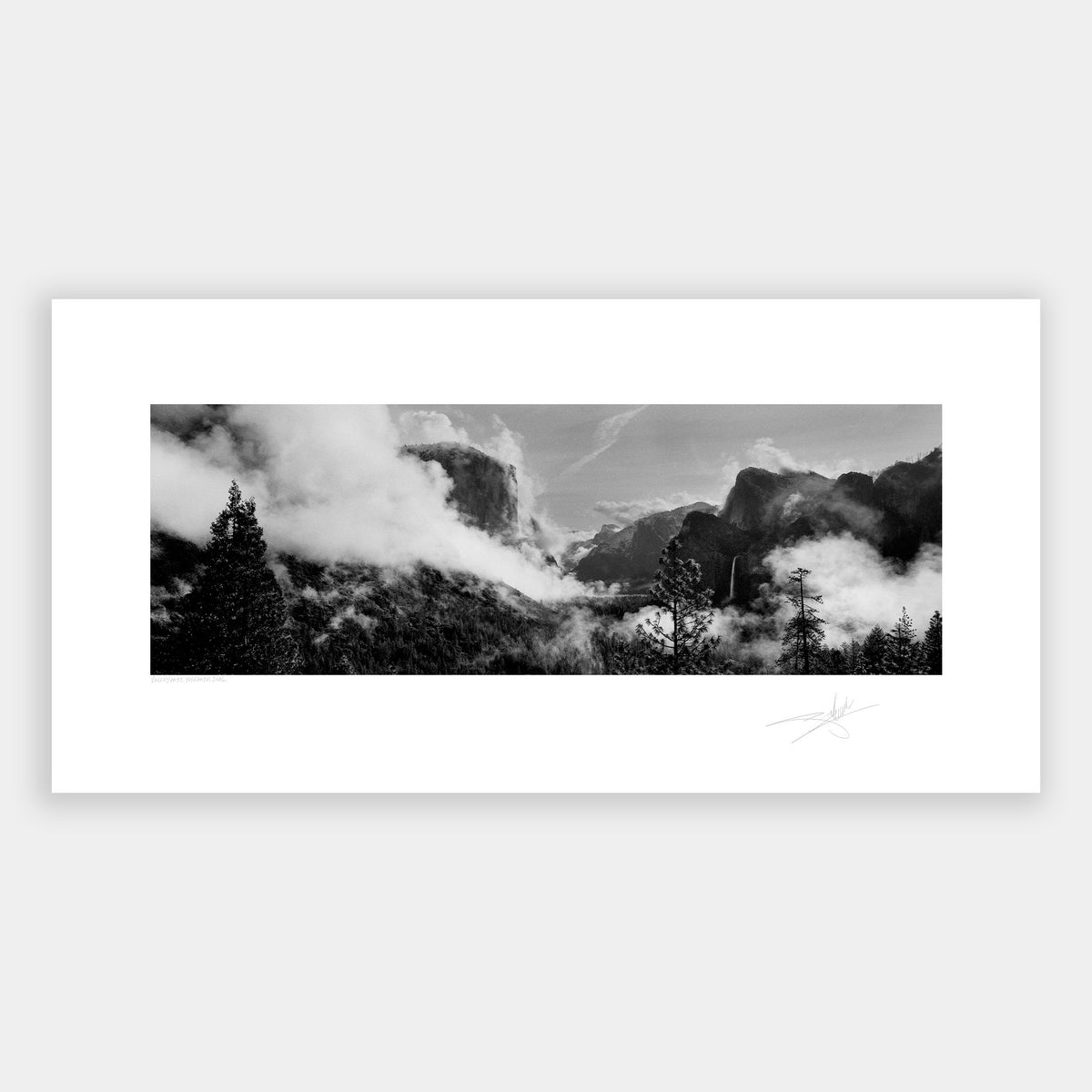 Valley Mist