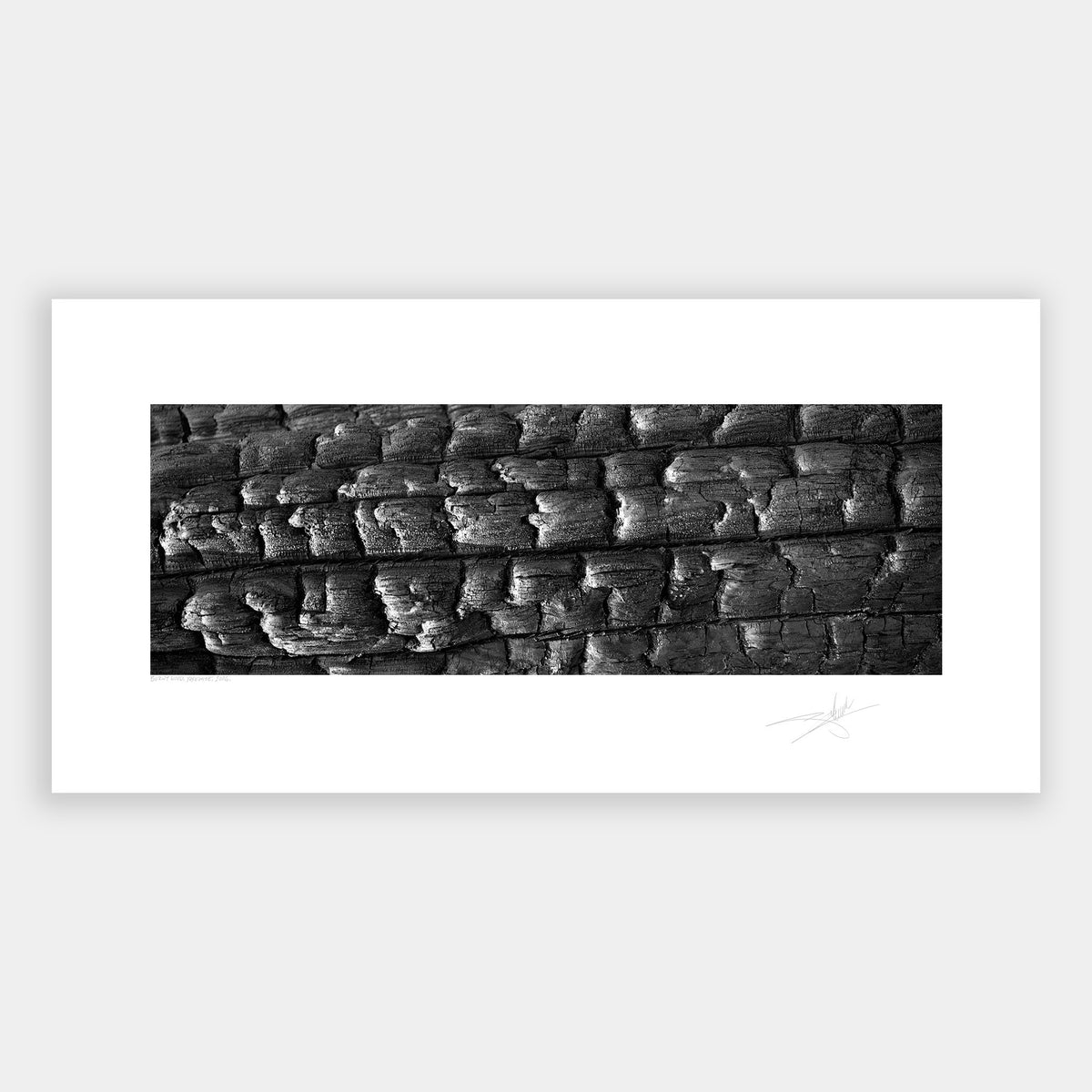 Burnt Wood