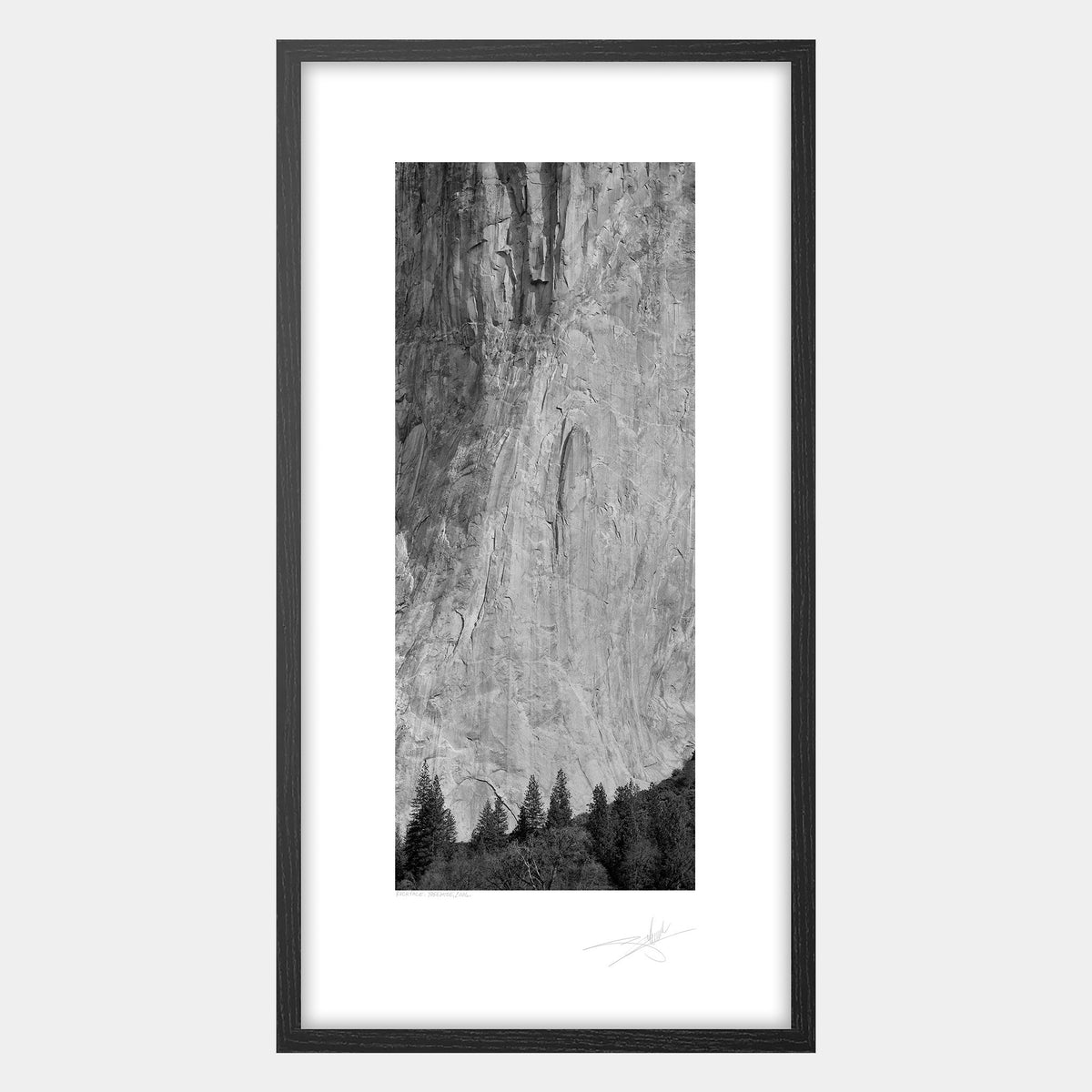 Rock Face