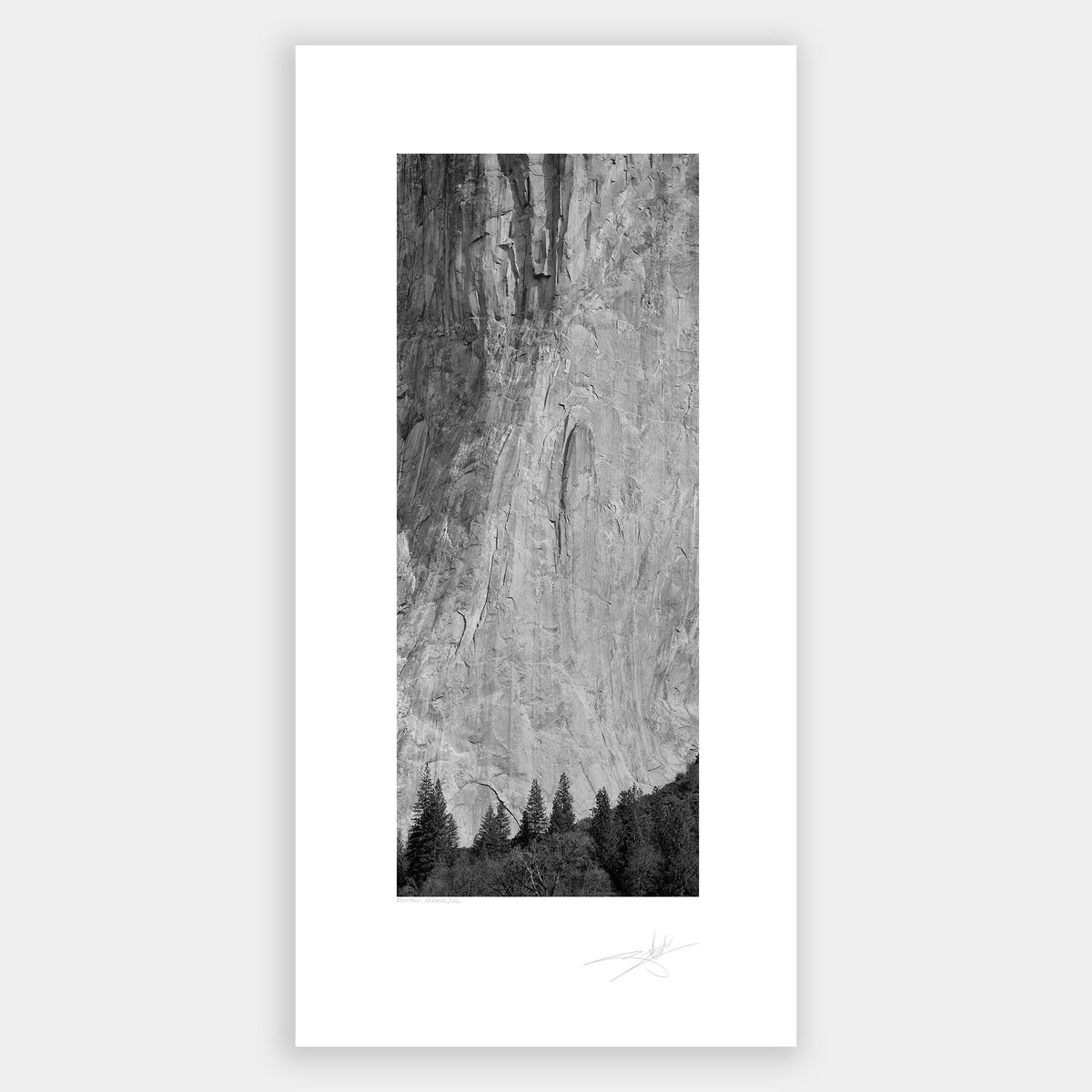 Rock Face