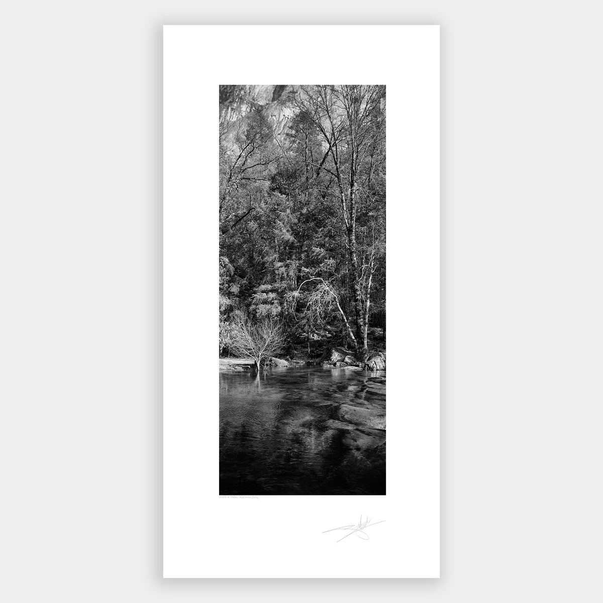 River & Trees