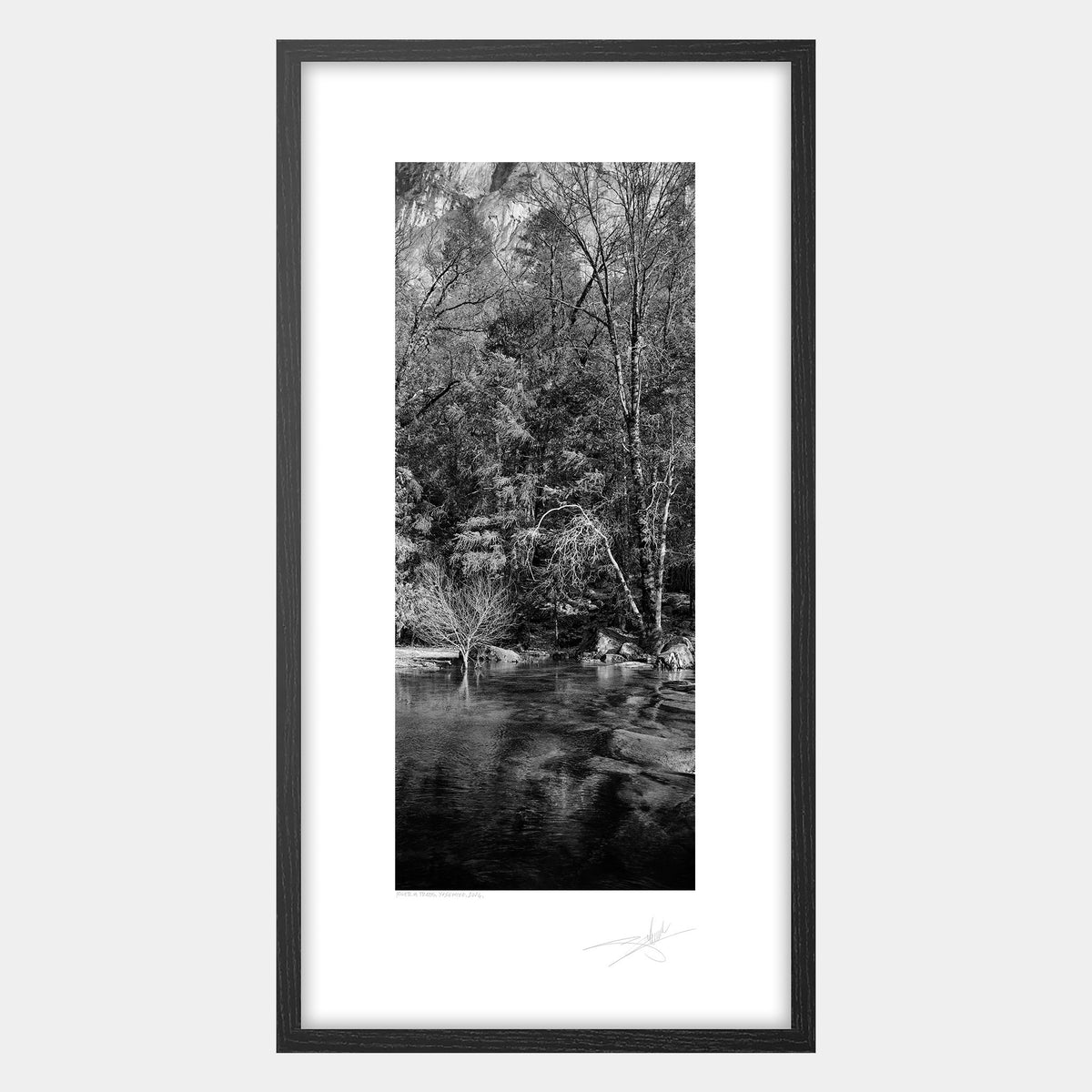River & Trees