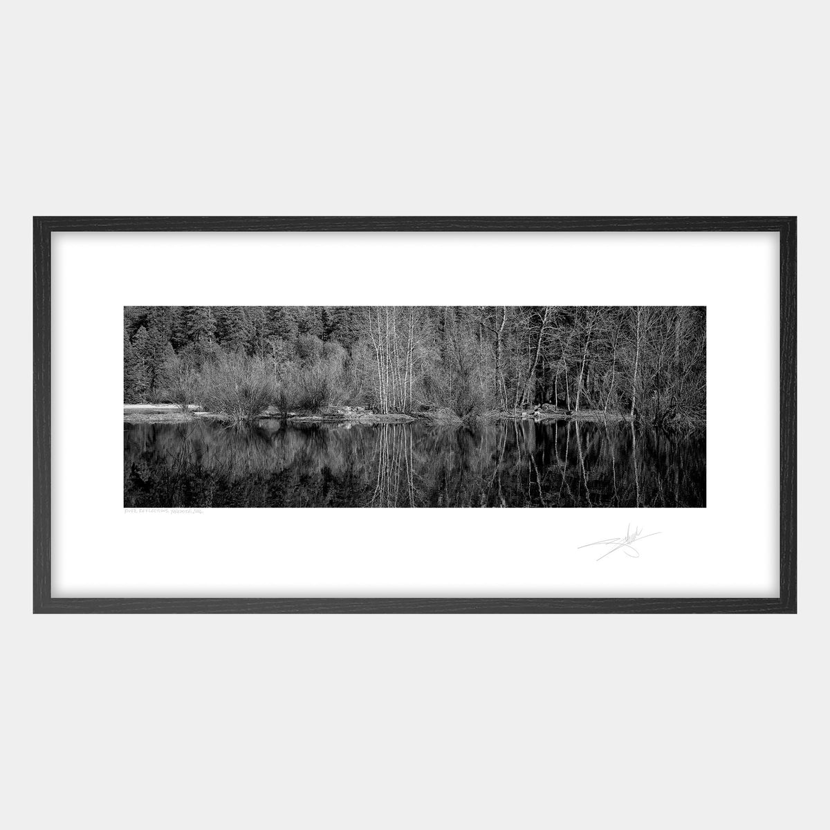 River Reflections