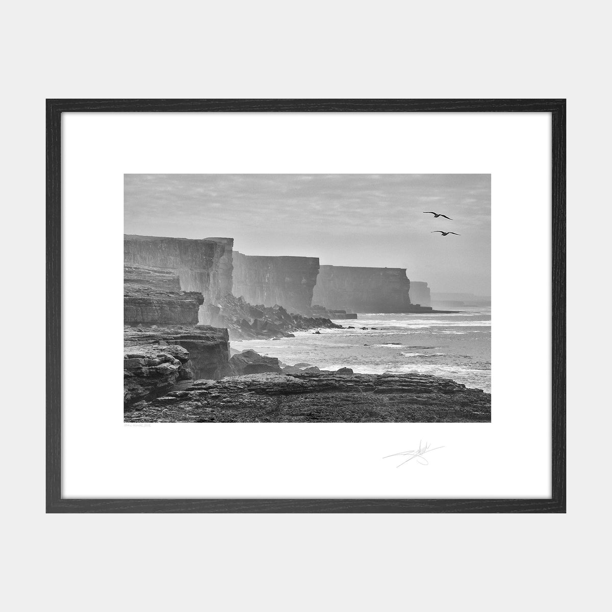 Two Gulls