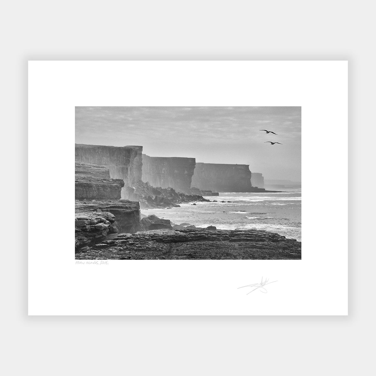 Two Gulls
