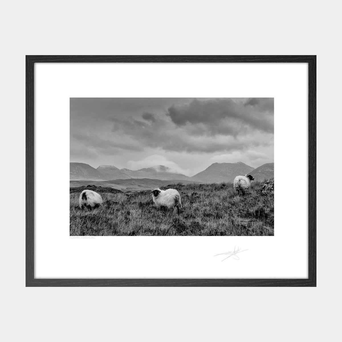Connemara