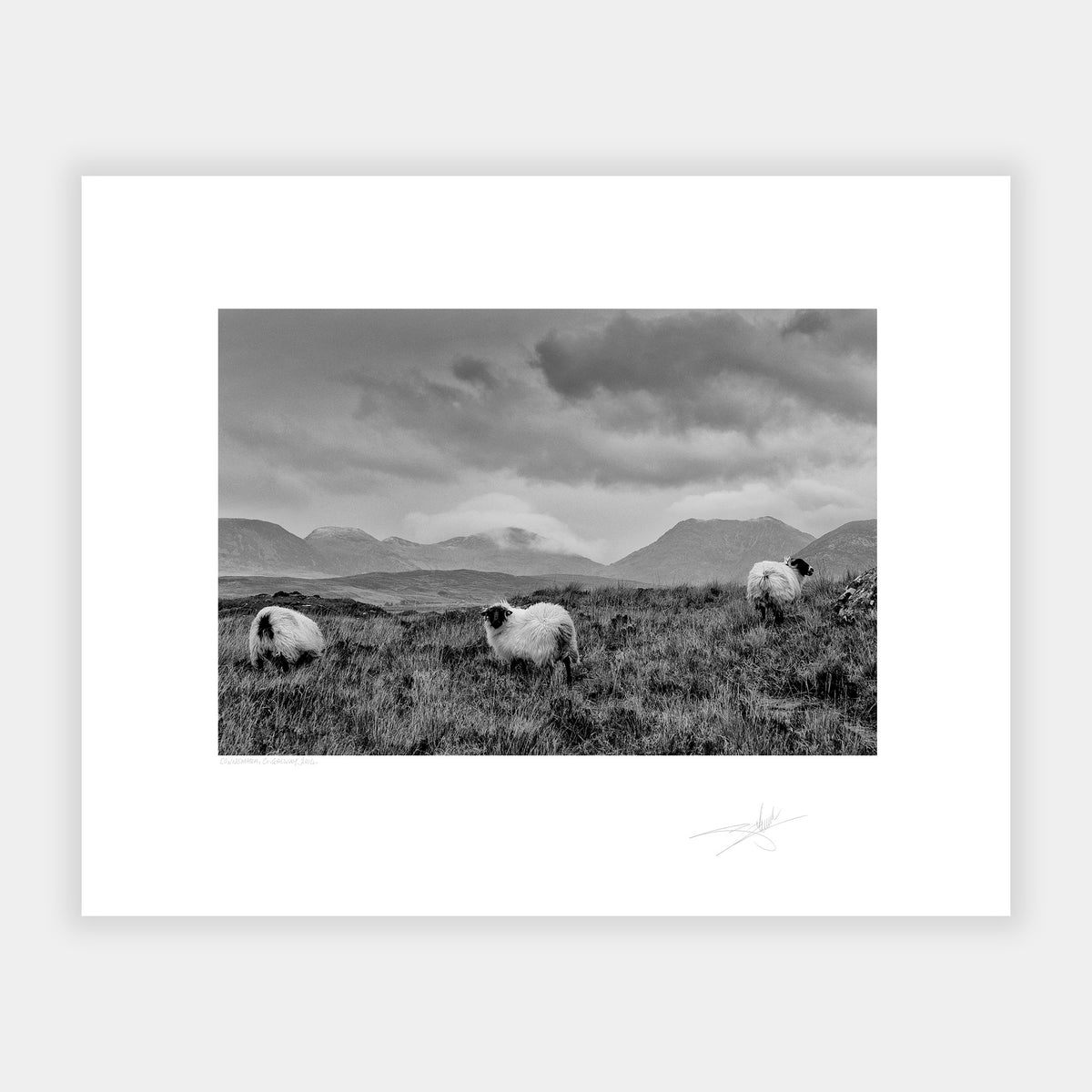 Connemara