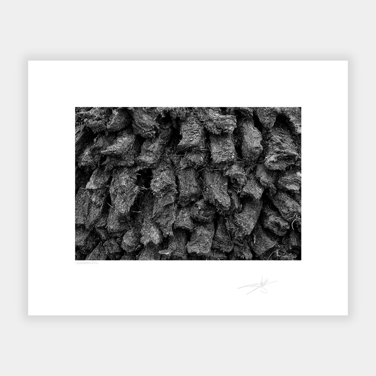 Turf