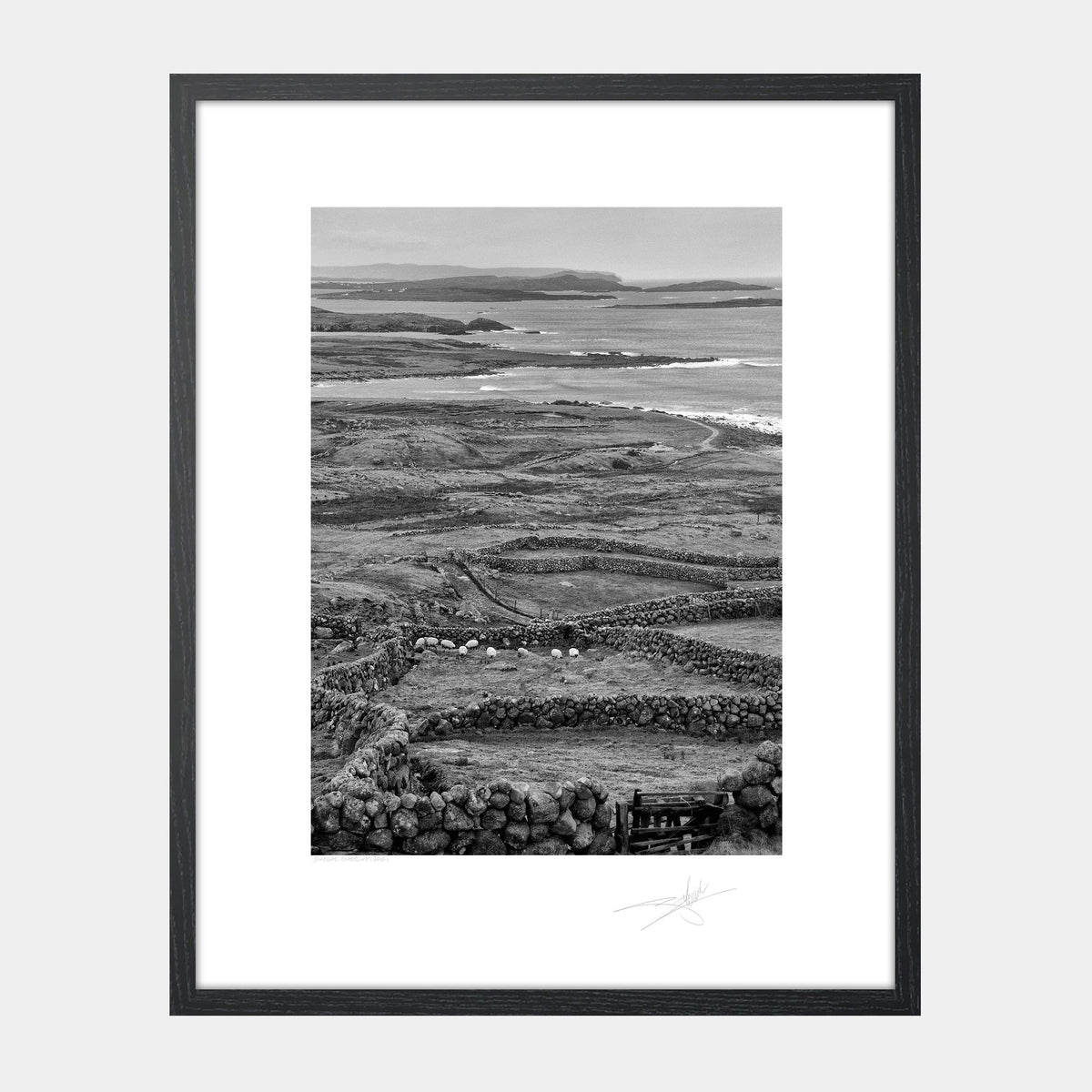 Donegal Coastline