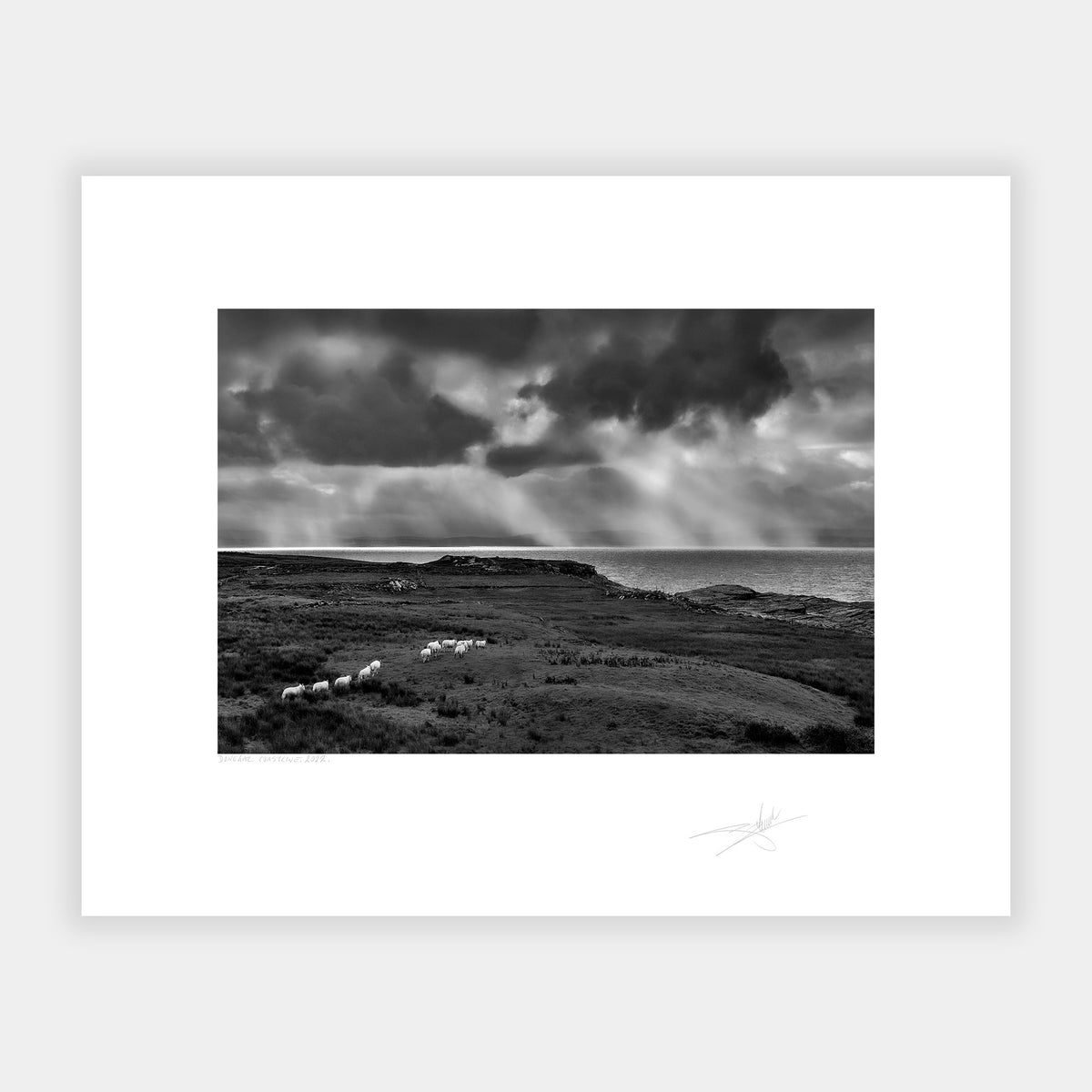 Donegal Coastline, 2022