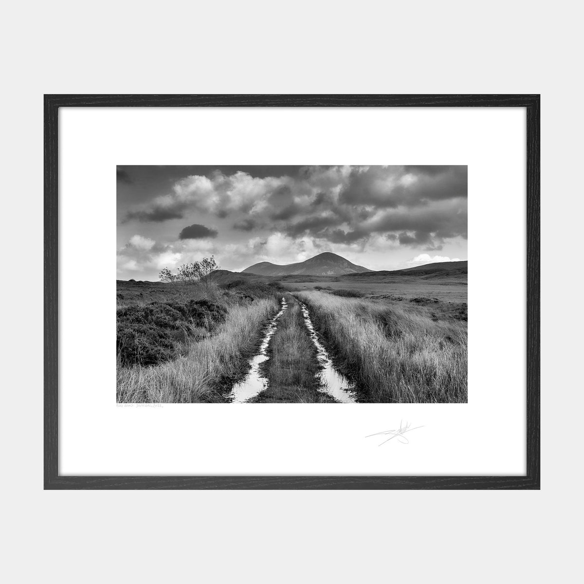 Bog Road, Donegal, 2022