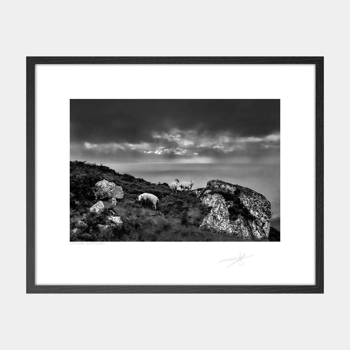 Crohy head, Donegal, 2022