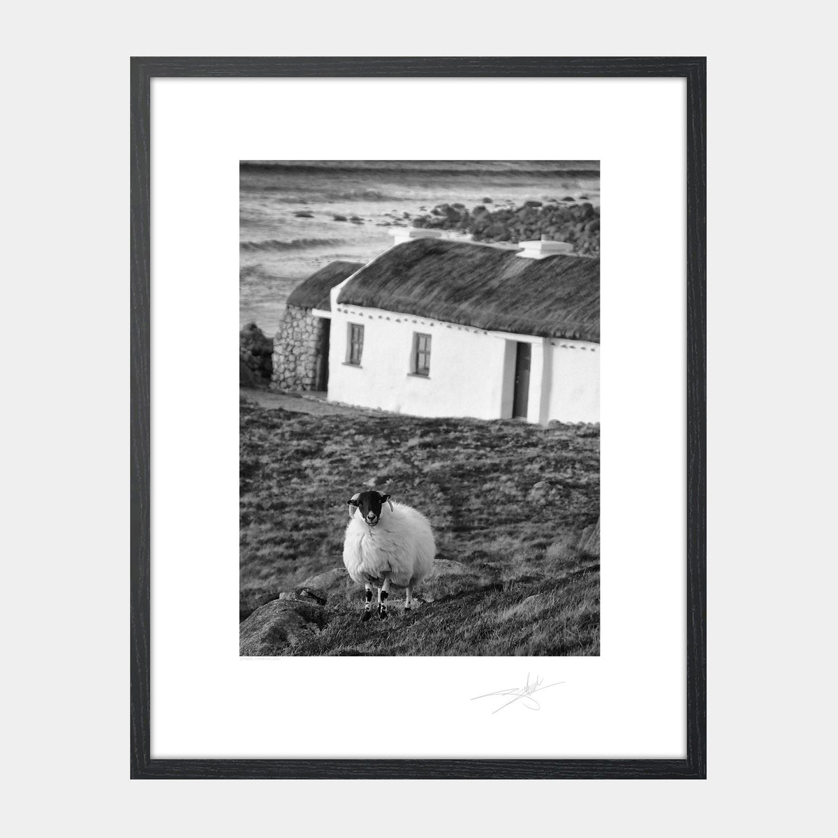 Donegal Cottage