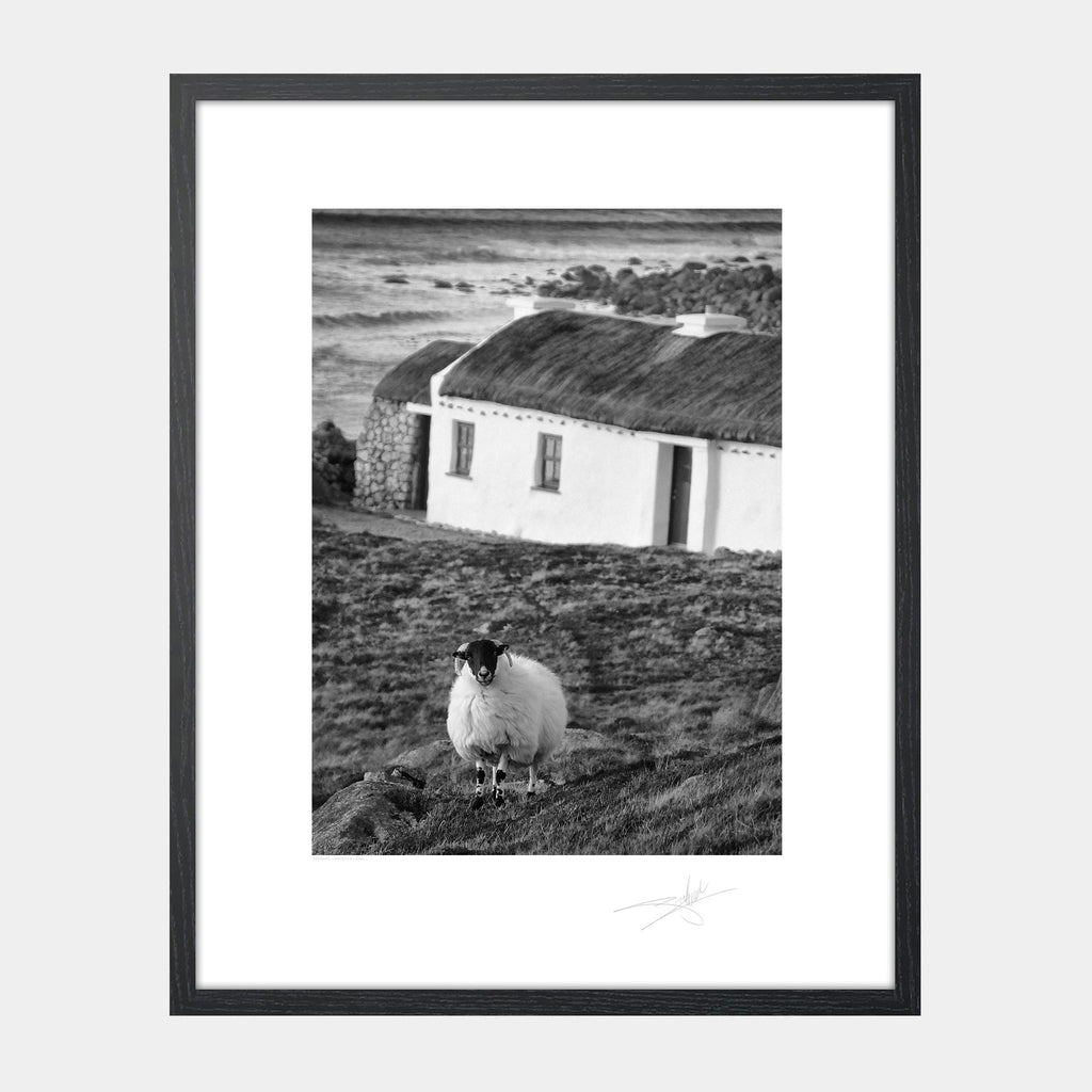 Donegal Cottage