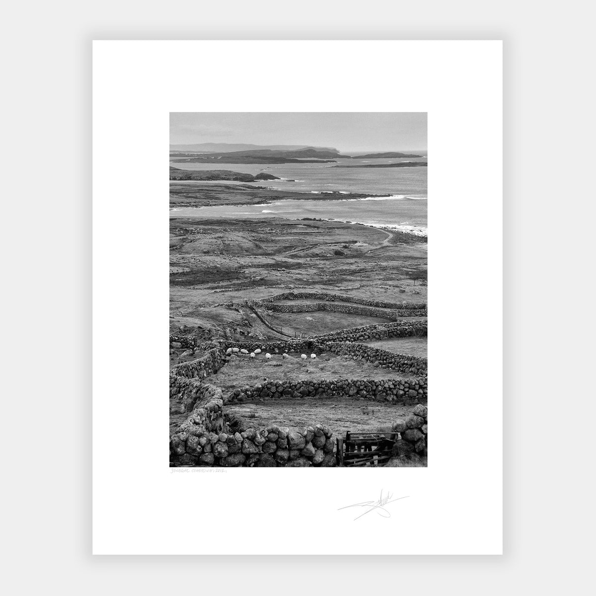 Donegal Coastline