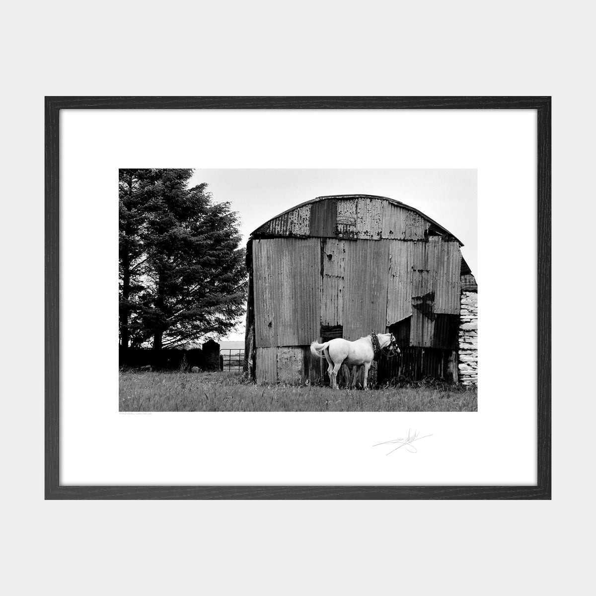Horses Barn, West Cork '88 Ireland