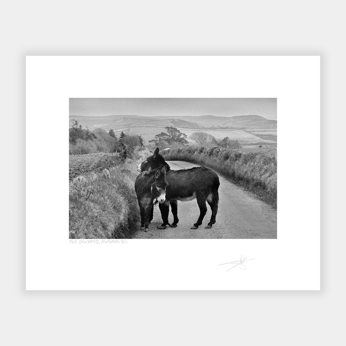 Two Donkeys Kinsale '81 Ireland