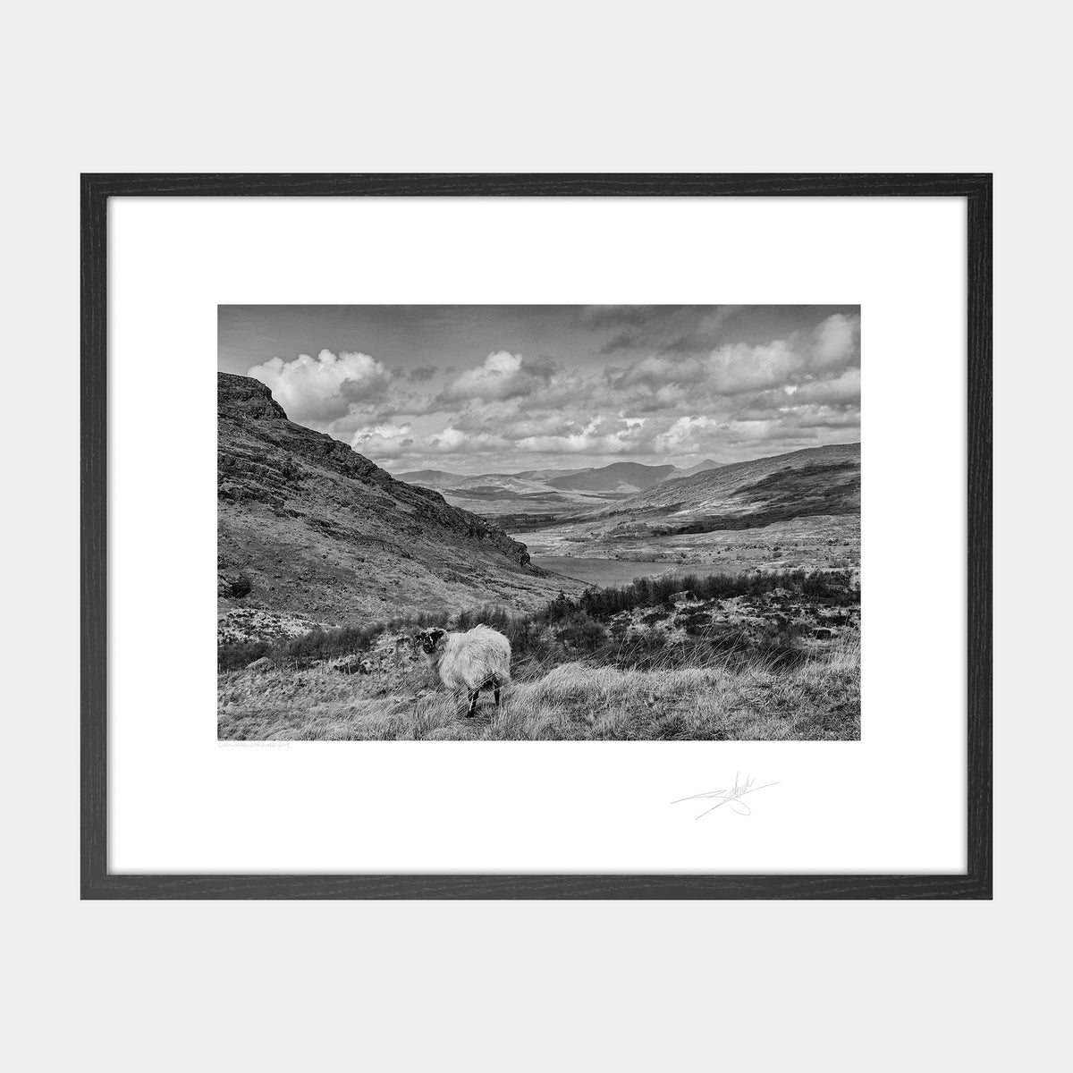 Gleninchaquin