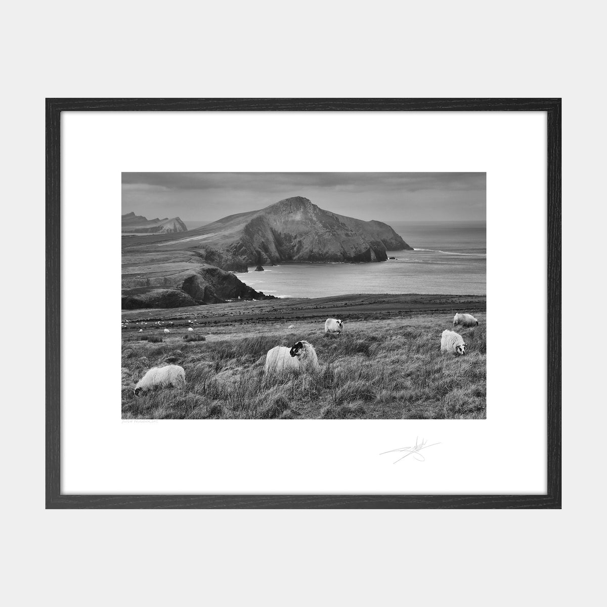 Dingle Peninsula
