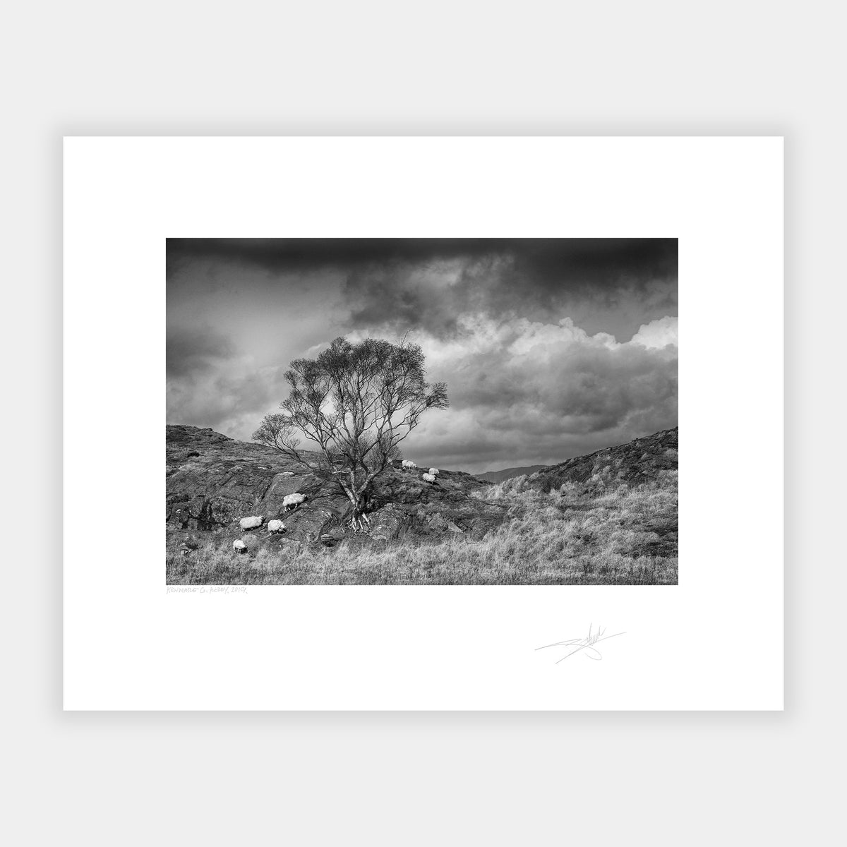 Kenmare