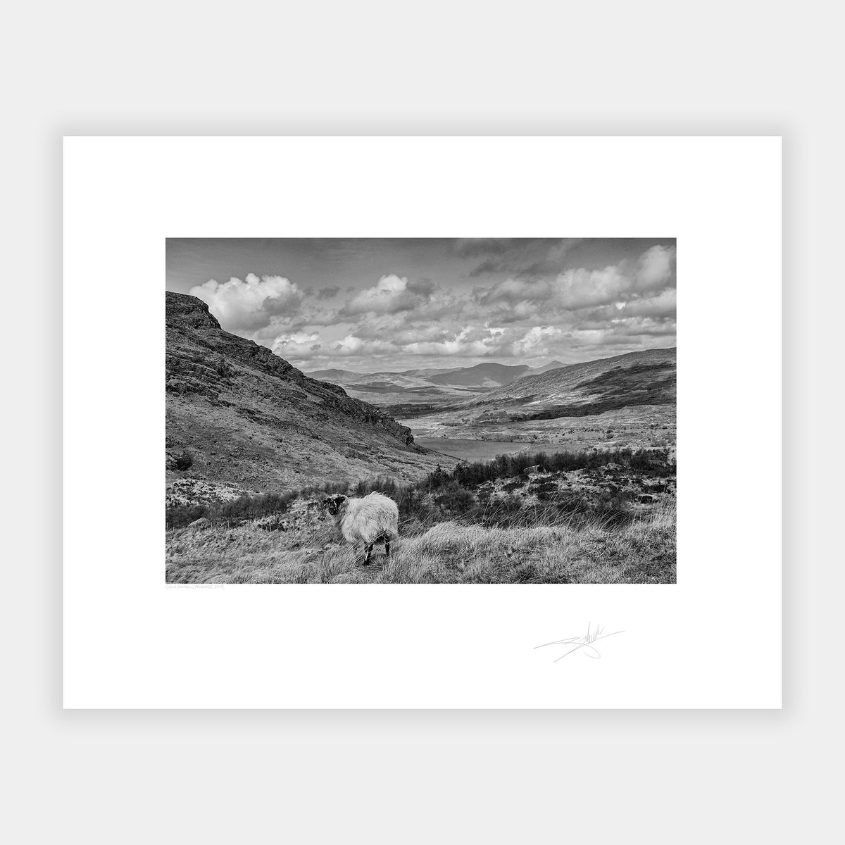 Gleninchaquin