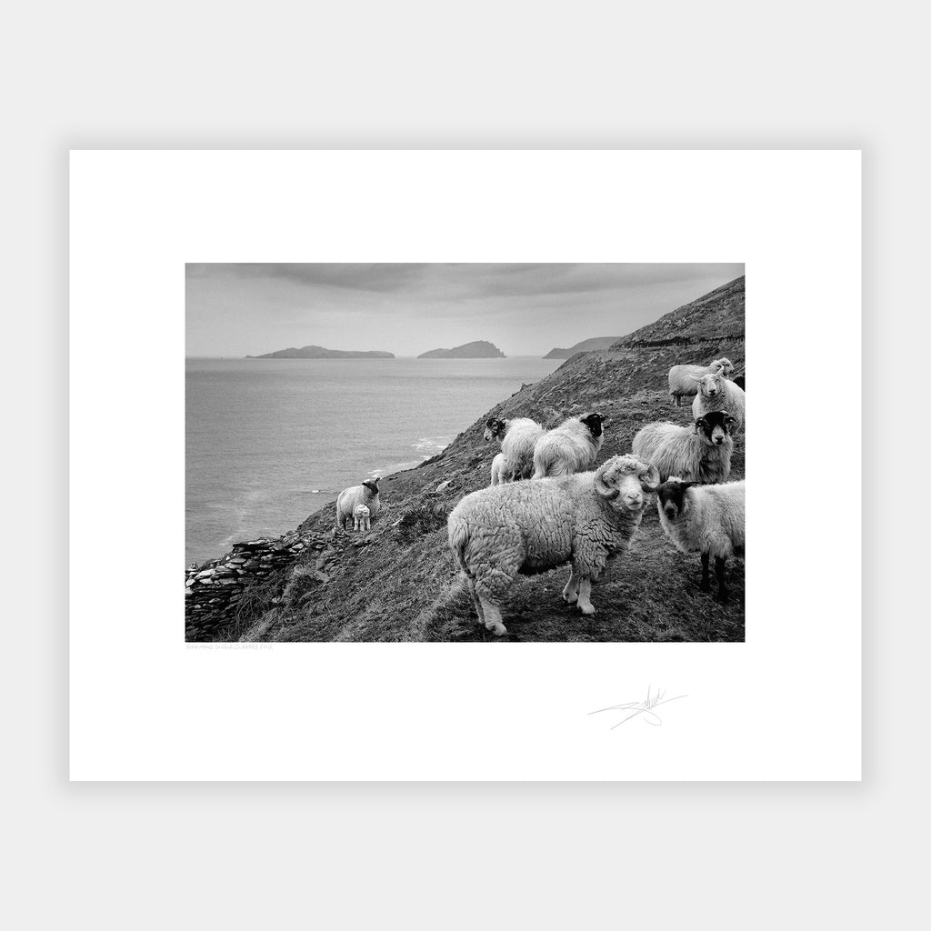 Slea Head