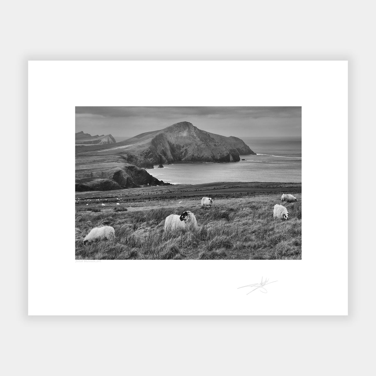 Dingle Peninsula