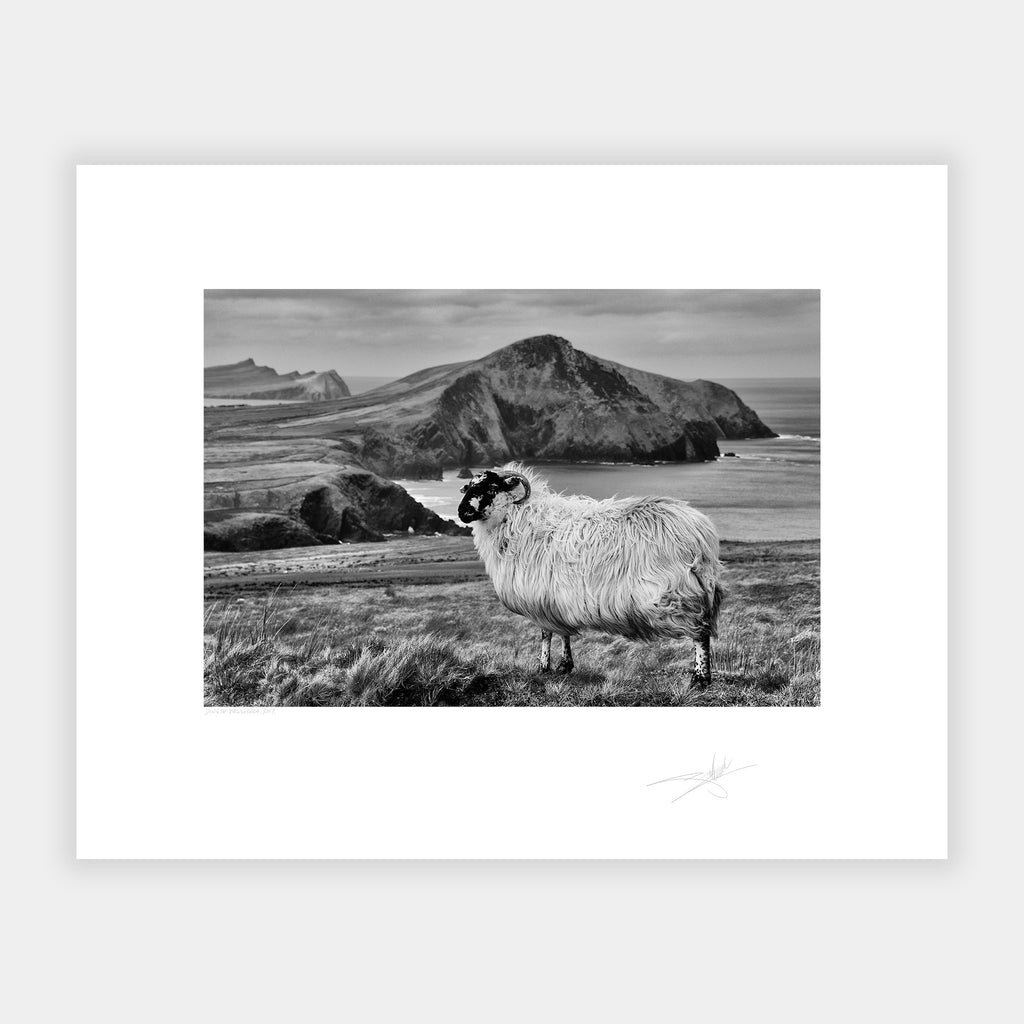 Dingle Peninsula