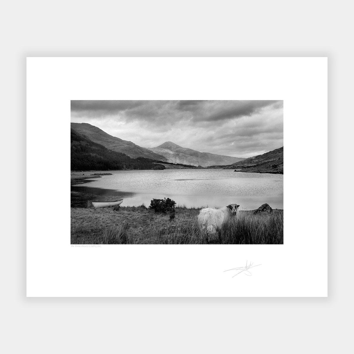The Black Valley
