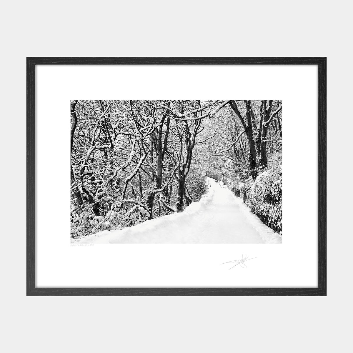 The lower road Kinsale under snow Ireland 2018