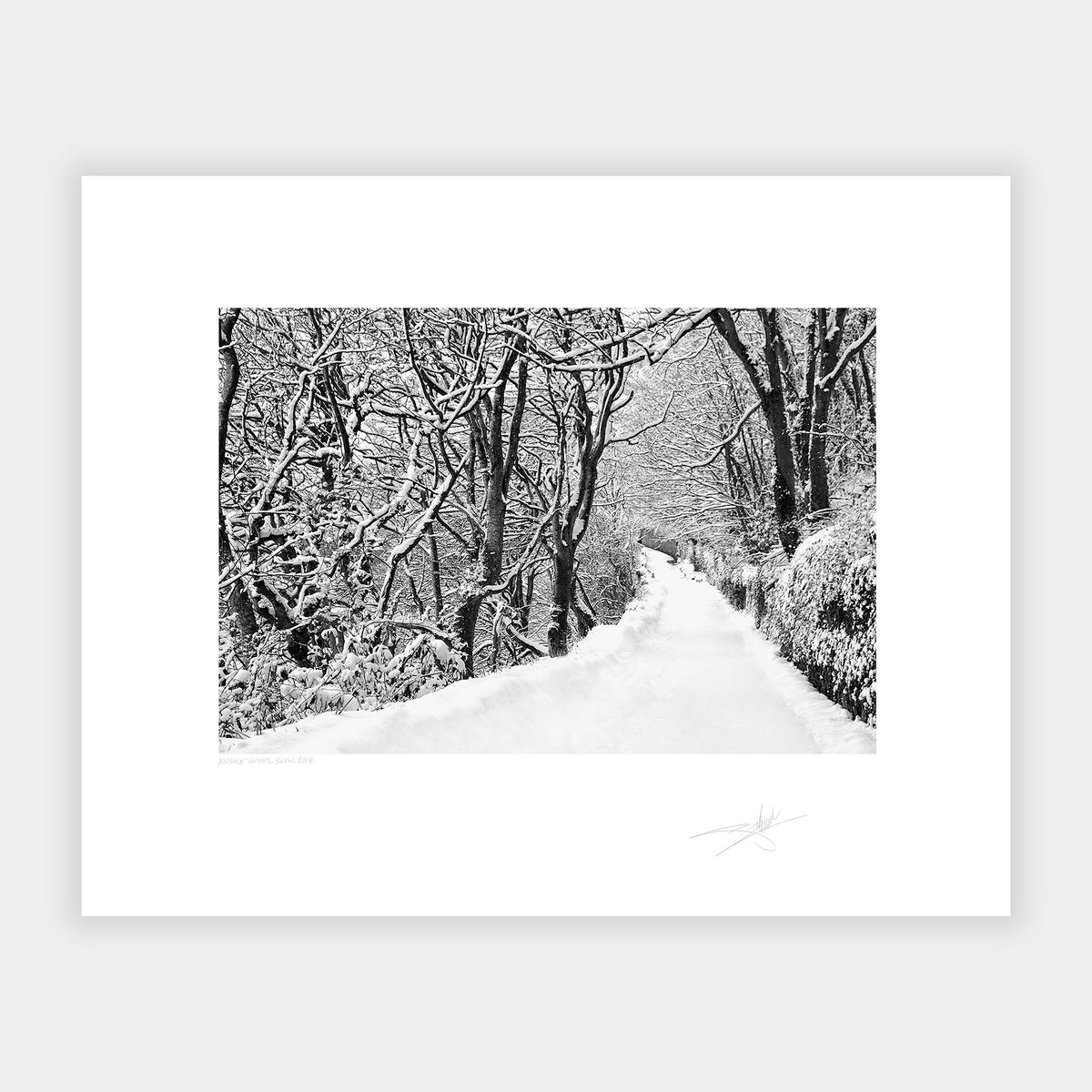 The lower road Kinsale under snow 2018 Ireland