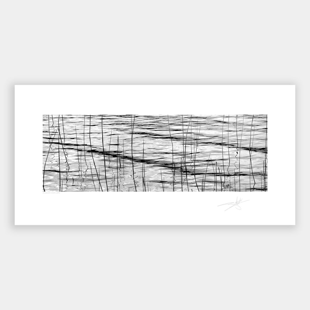 Waterweeds