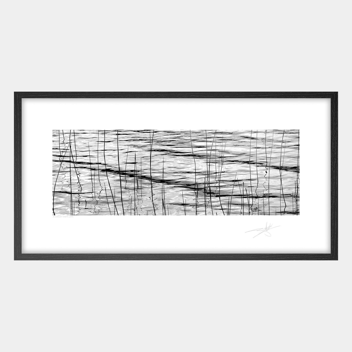 Waterweeds