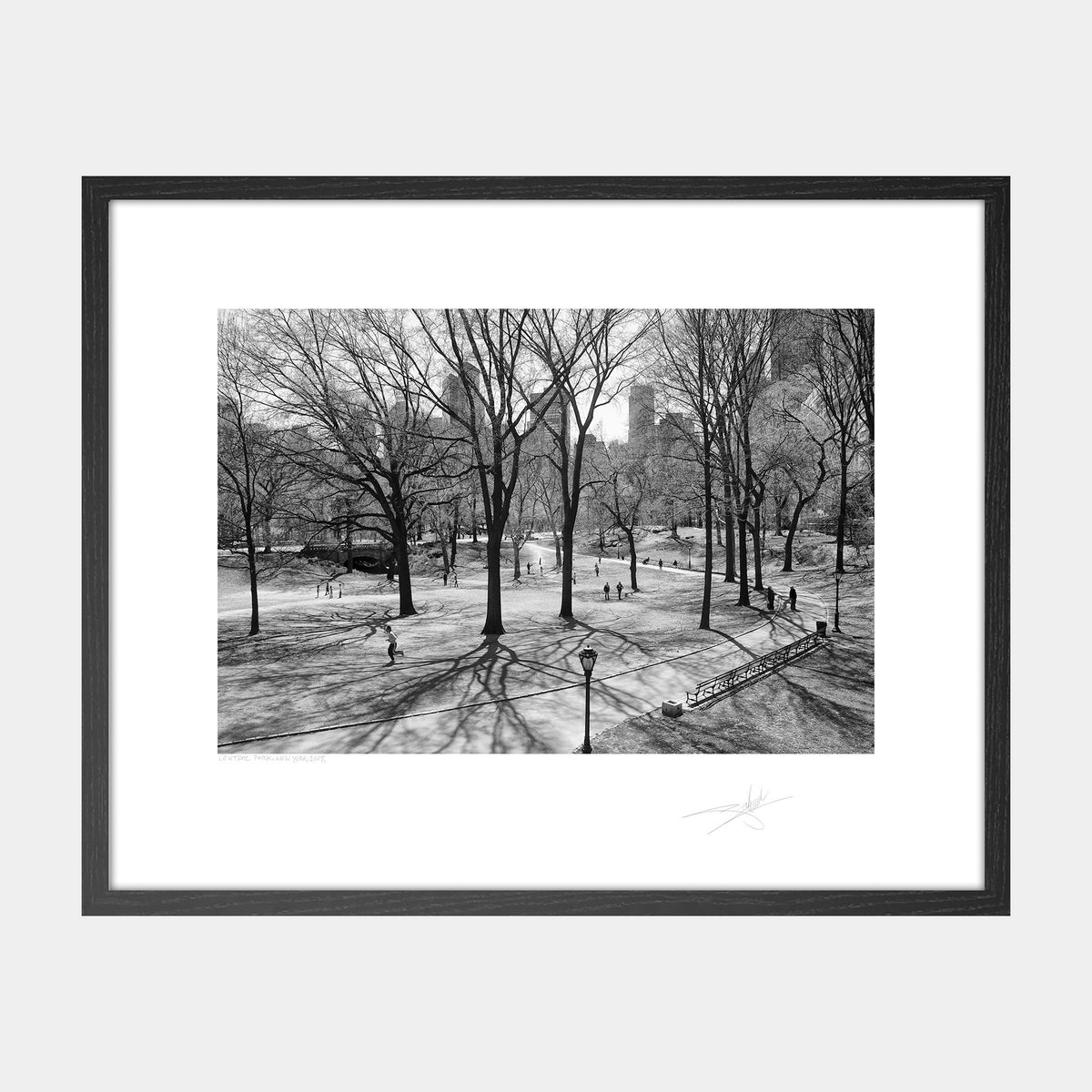 Central Park