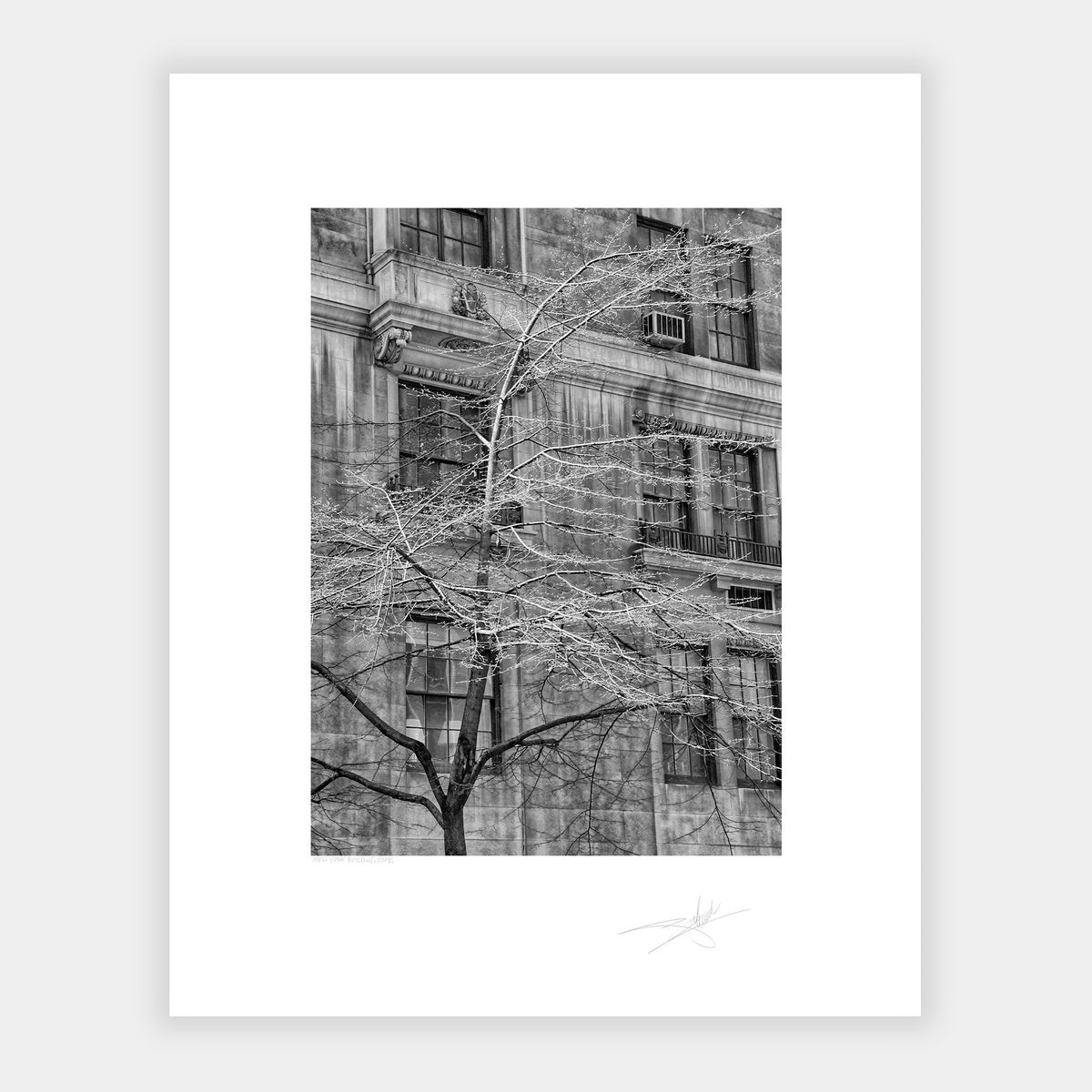 New York Building