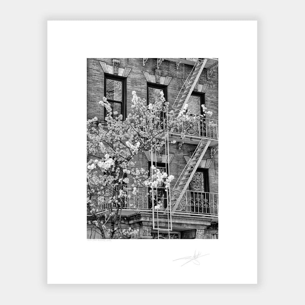 New York Building