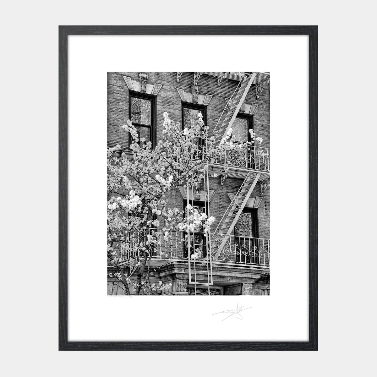 New York Building