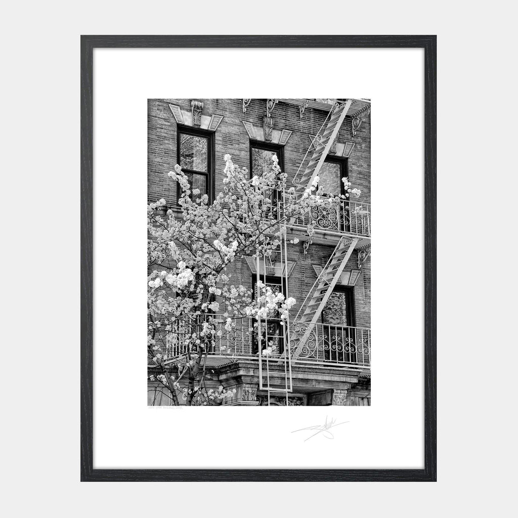 New York Building